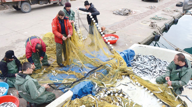  Samsunlu balıkçılar, 15 Nisan’da sezonu sonlandıracak. 