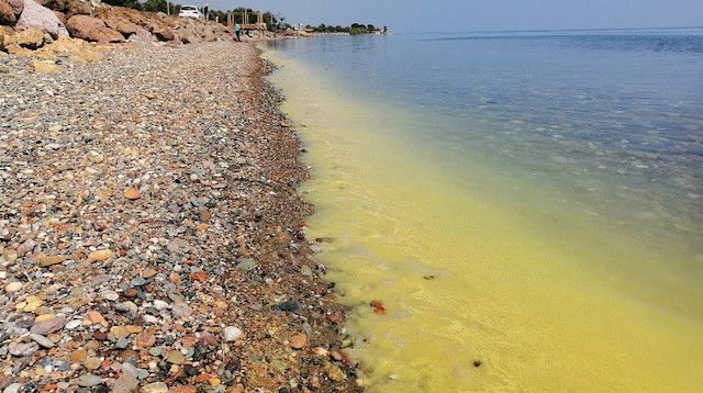 Ayvacık ilçesindeki sahil şeridinden oluşan sarı tabaka 