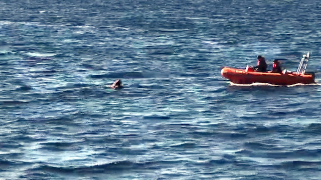 Kaçak Iraklı yüzerek Yunanistan'a geçmeye çalıştı