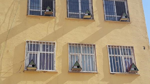 Okul'un her camına kuş yuvası yapıldı. 