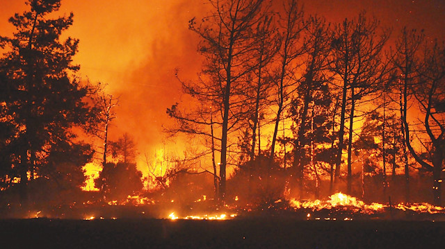 Orman yangınlarına bin 173 noktada konuşlanmış ilk müdahale ekibi ile en kısa sürede müdahale edilecek.