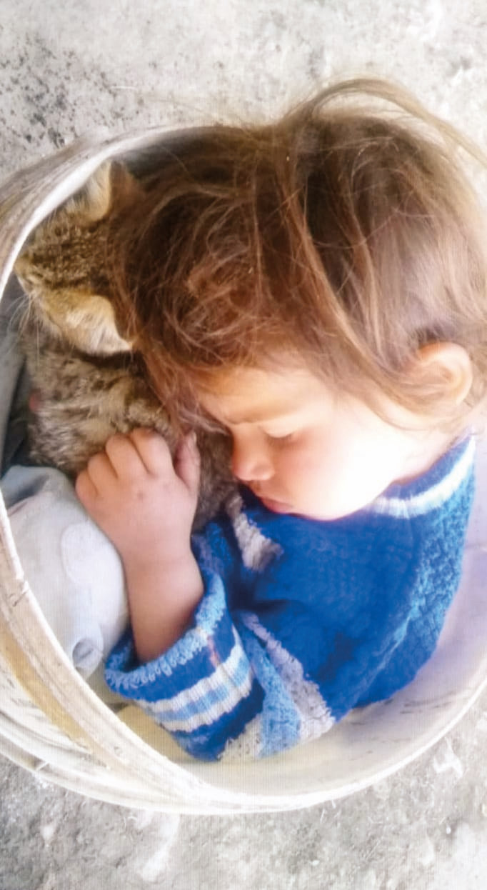 Nurcan’ın kovadaki fotoğrafı sosyal medyada hızla yayıldı.