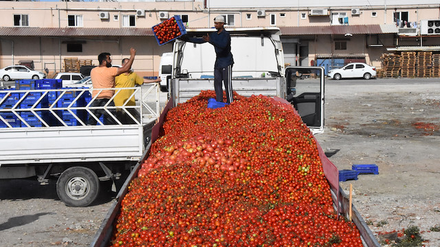 Havanın ısınmasıyla domatesin fiyatında düşüş oldu. 