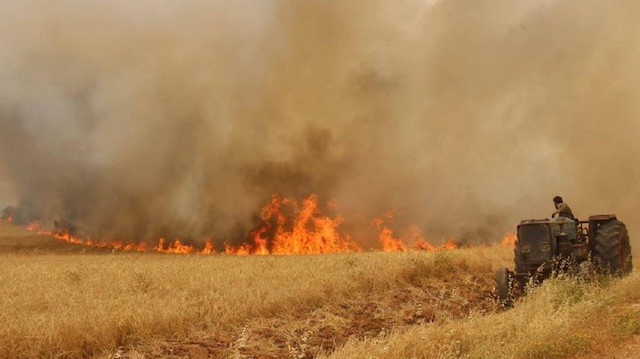 الحرائق تواصل التهام المحاصيل شمالي سوريا