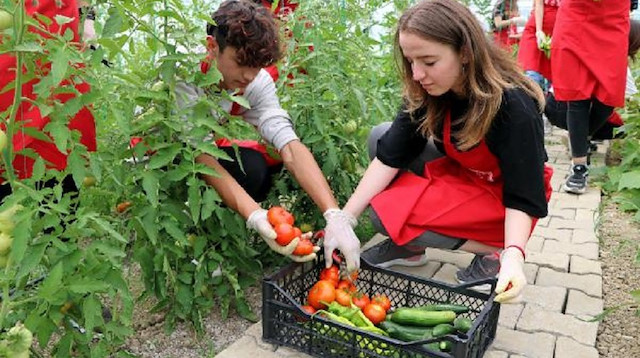 21 öğrenci imkanı olmayan kişilere sebze yetiştirerek yardımcı oluyor. 