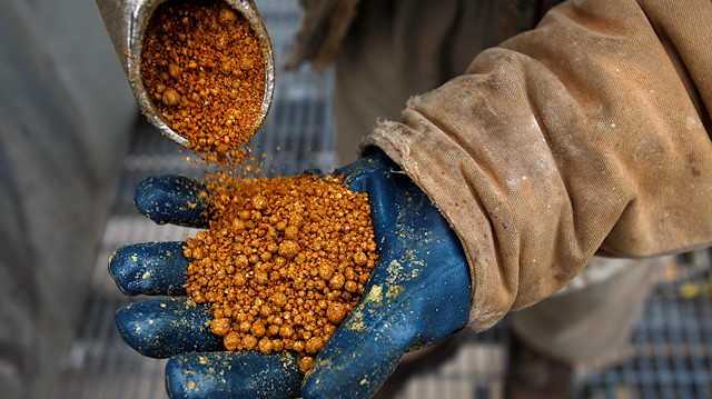 File photo: A process operator holds a handful of dried distillers grains