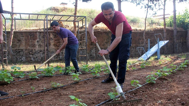 Ata tohumları koruma altında, toprakla buluştu.