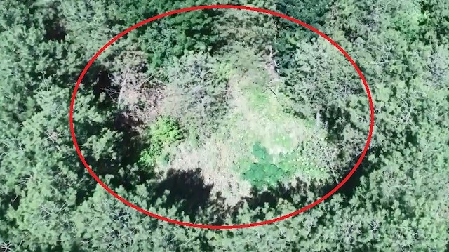 Kenevirlerin ekili olduğu alanlar drone ile görüntülendi. 
