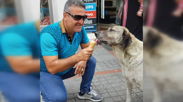Köpeğin dondurma keyfi