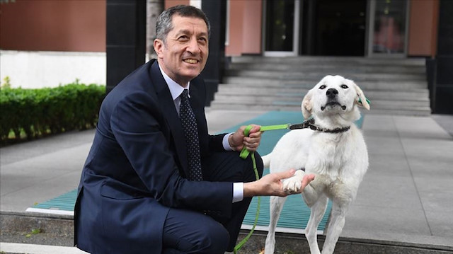 Milli Eğitim Bakanı Ziya Selçuk'un barınaktan sahiplendiği "Pergel" adını verdiği köpek.