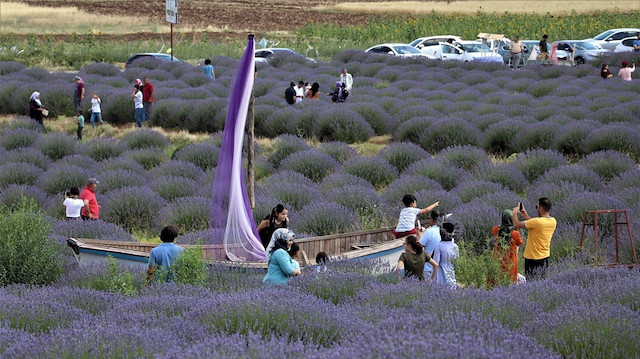 Isparta'nın en güzel özelliği: Lavanta bahçeleri