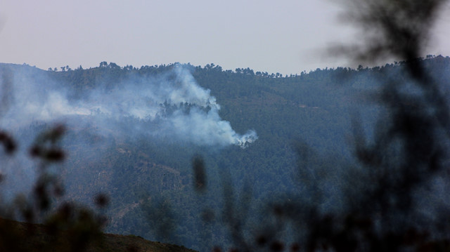 Hatay'ın Yayladağı sınırına yakın alanda dün başlayan orman yangını devam ediyor.