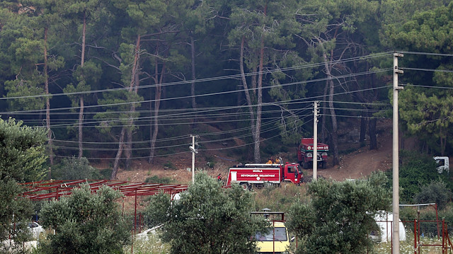 تركيا تسيطر على حريق نشب في غابة بـ"موغلا"