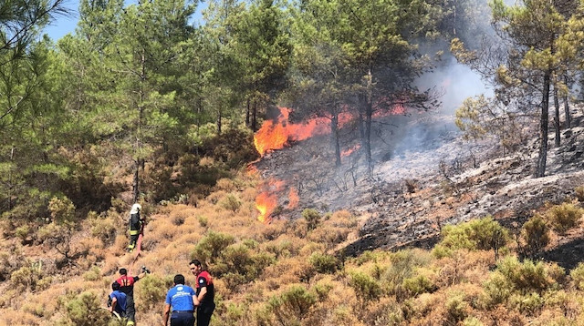 Fethiye'deki orman yangınına ekipler müdahale ediyor.