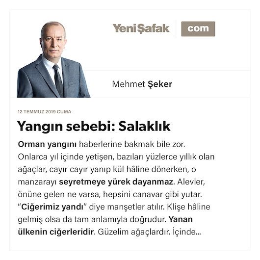 Yangın sebebi: Salaklık