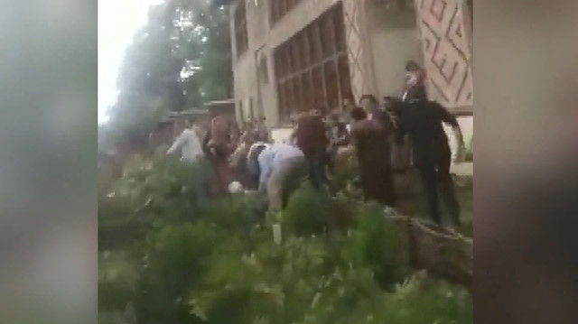 500 yıllık ağaç devrildi: 19 yaralı