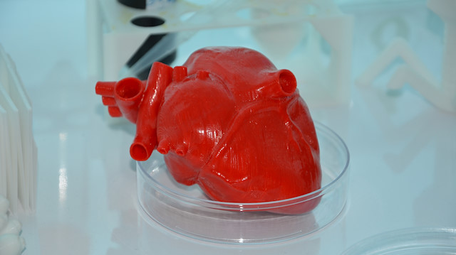 3D yazıcı ile üretilen kalp kopyası.