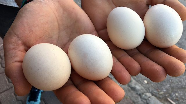  Irak pazarının kapanmasıyla oluşan yumurta arz fazlasının daraltılması gerekiyor, bu nedenle tavuklar için kesime teşvik desteği talep ediliyor. 