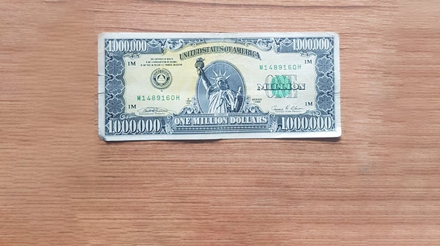 Uşak'ta 1 milyon dolarlık banknot ele geçirildi 