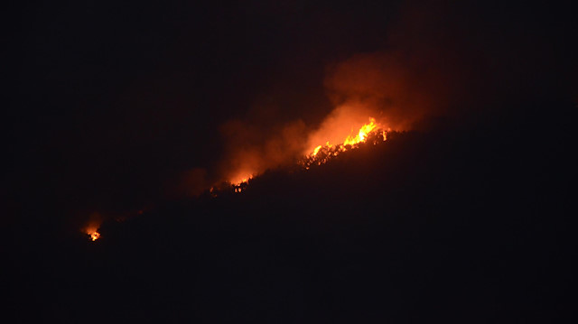 Aydın'da makilik alanda yangın