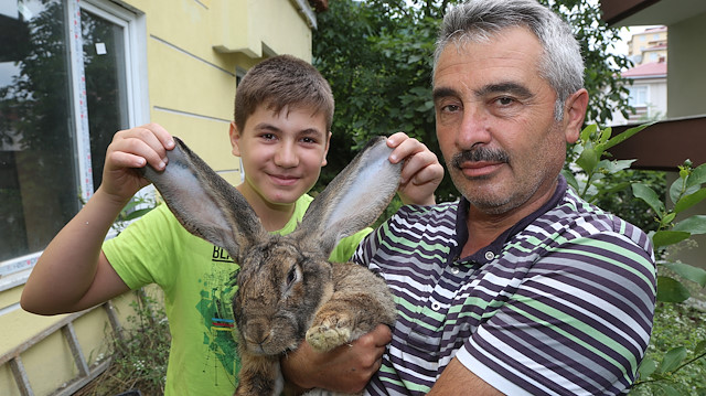 Öğretmen Sinan Ağar, oğluyla birlikte dev tavşana bakıyor.