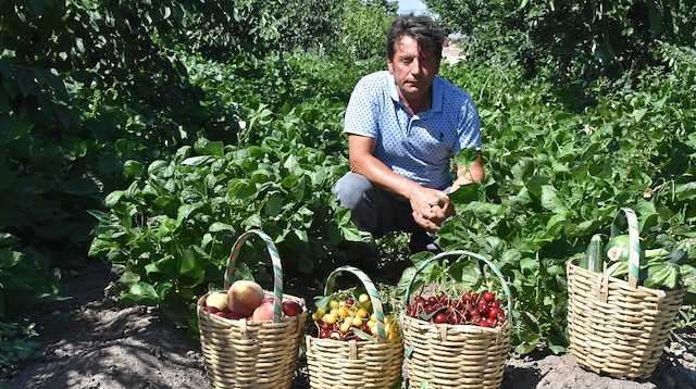 Zekai Üzüm bahçesine gelenlere satın almayı istedikleri meyve ya da sebzeyi kendileri toplama imkanı sunuyor.