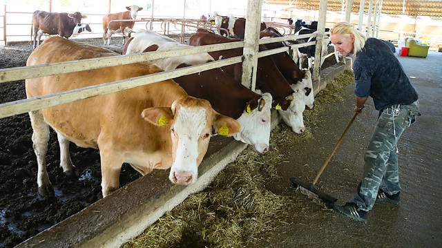 Adnan Menderes Havalimanında özel bir şirkette yer hostesliği yapan Kaplan, yaklaşık 10 yıl bu sektörde çalıştıktan sonra işi bıraktı.