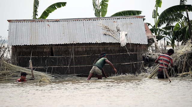 Flood-affected farmers process jute plant in Jamalpur, Bangladesh