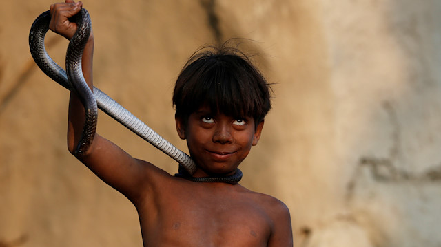 A boy holds a snake as he poses for a photograph in Jogi Dera (snake charmers settlement), in the village of Baghpur, in the central state of Uttar Pradesh, India November 9, 2016. Picture taken November 9, 2016. REUTERS