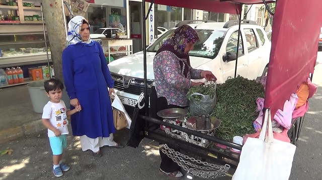 79 yaşındaki Fatma teyze semiz otu satarak 2 torununa ve kızına bakıyor