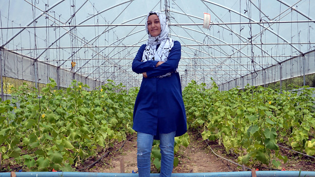 Aldığı hibeyle köyünde 500 metrekarelik sera kuran Sultan Aydın, domates, salatalık ve fasulye yetiştiriyor.