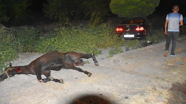 Otomobil çiftlikten kaçan atlara çarptı