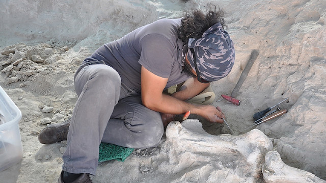 Fosil arama çalışmalarında yaklaşık 7,5 milyon yıl önce Anadolu'da yaşayan hayvanlara ait kalıntılar bulundu. 