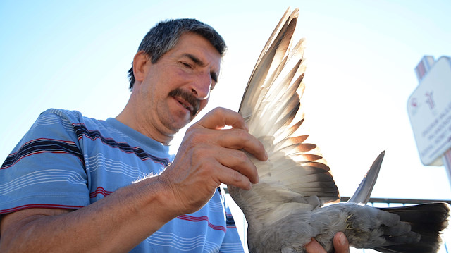 Selçuk Erinkarlı