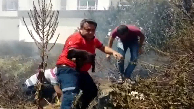 Alevlerin arasında kalan yavru köpekler kurtarıldı