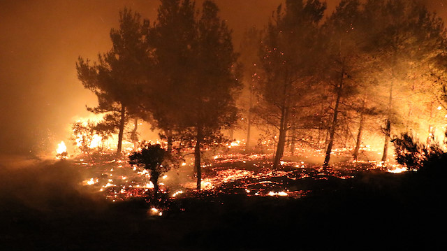 Yangın Behramlı köyünün üst kesimlerinde kalan ormanlık alanda çıktı.