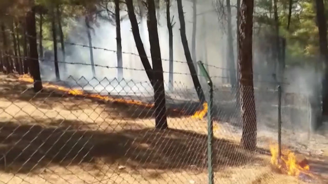 Kahramanmaraşta piknikçiler ormanı yaktı