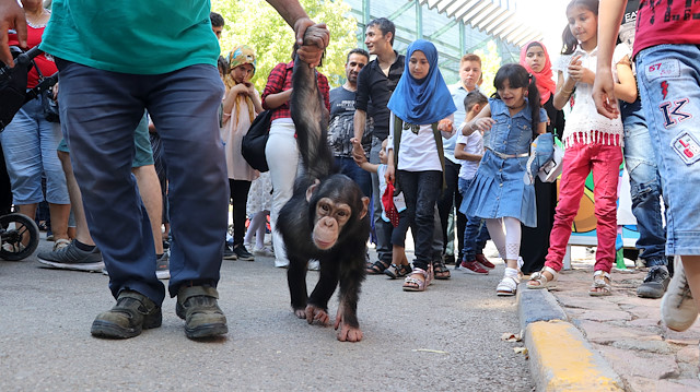 تركيا.. إقبال كبير على حديقة حيوانات "غازي عنتاب" خلال العيد