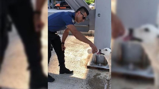 في موقف نبيل.. شرطي تركي يسقي كلبًا متشردًا