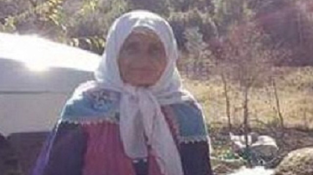 İncir toplamak için çıktığı ağaçtan düşen Fatma Topkaç (65), hayatını kaybetti.
