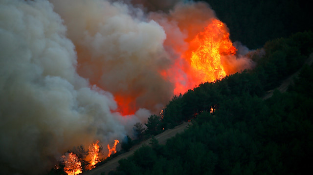 İzmir'deki orman yangını Menderes ve Seferihisar ilçelerine sıçradı
