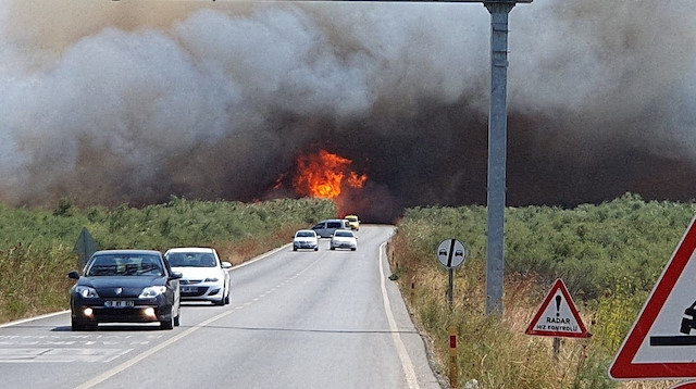 Edremit'teki orman yangını
