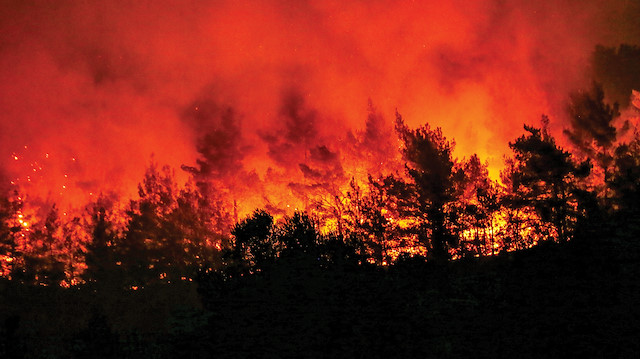 Son on yıllık istatistiklere göre, orman yangınlarının yüzde 12’sinin yıldırım, geriye kalan yüzde 88’inin ise insan kaynaklı olduğu belirtiliyor.
