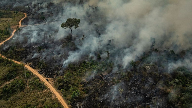 Brezilya'daki orman yangınları devam ediyor.