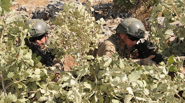 Güvenlik güçleri, PKK'ya yönelik operasyonlarını sürdürüyor.