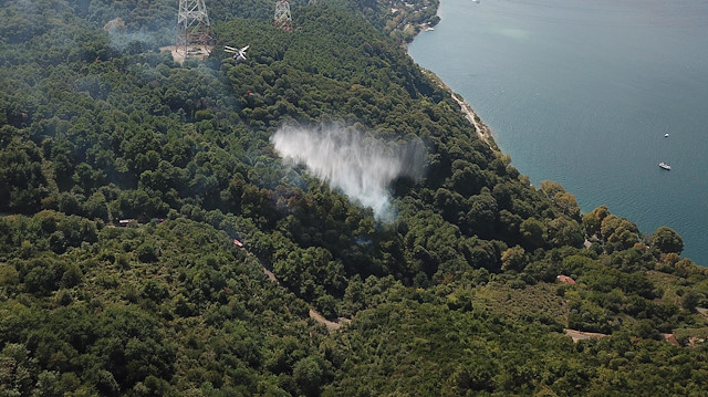 Orman yangınına havadan müdahale edildi. 
