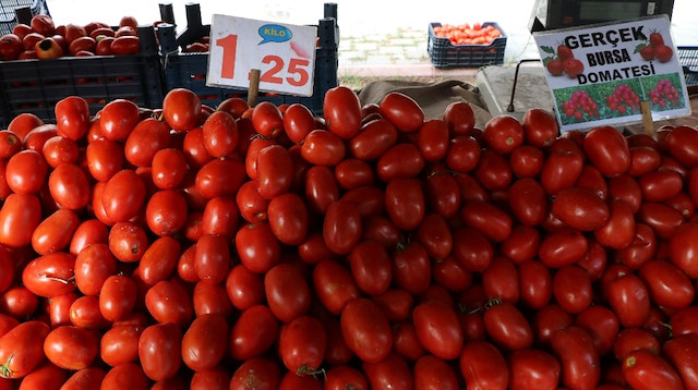 Bursa domatesi ise 1 lira 20 kuruştan tarladan çıkarken halde fiyatı 50 kuruşa kadar geriledi.