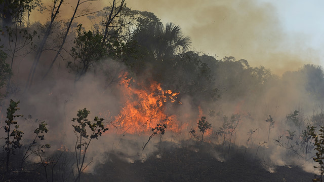 File photo: A fire burns a tract of the Amazon jungle in Agua Boa, Mato Grosso state,