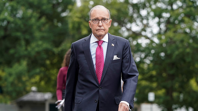 Director of the National Economic Council Larry Kudlow 