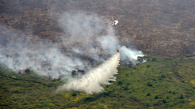 Yangınlara çiftçilerin devletin izni olmadan arazi açmak amacıyla yaktığı ateşler neden oluyor.
